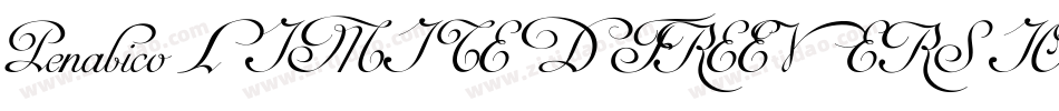 Penabico LIMITED FREE VERSION字体转换